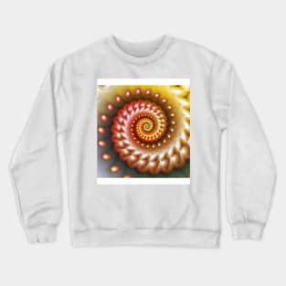 Shiny Peach Shell Crewneck Sweatshirt